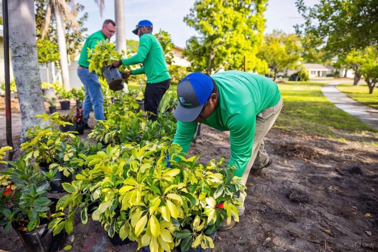 Professional JR Landscaping Service team in green uniforms planting variegated shrubs in a residential yard