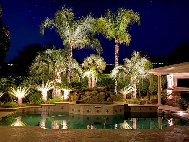 Beautifully illuminated palm trees, rock fountain, and swimming pool at night, demonstrating hazard-free landscape lighting for enhanced backyard safety and ambiance in Tampa.