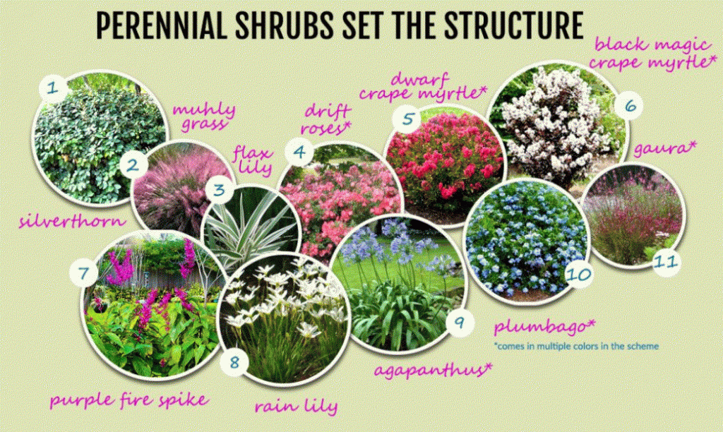 FloridaFloweringperennials