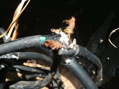 burn wire landscape lighting