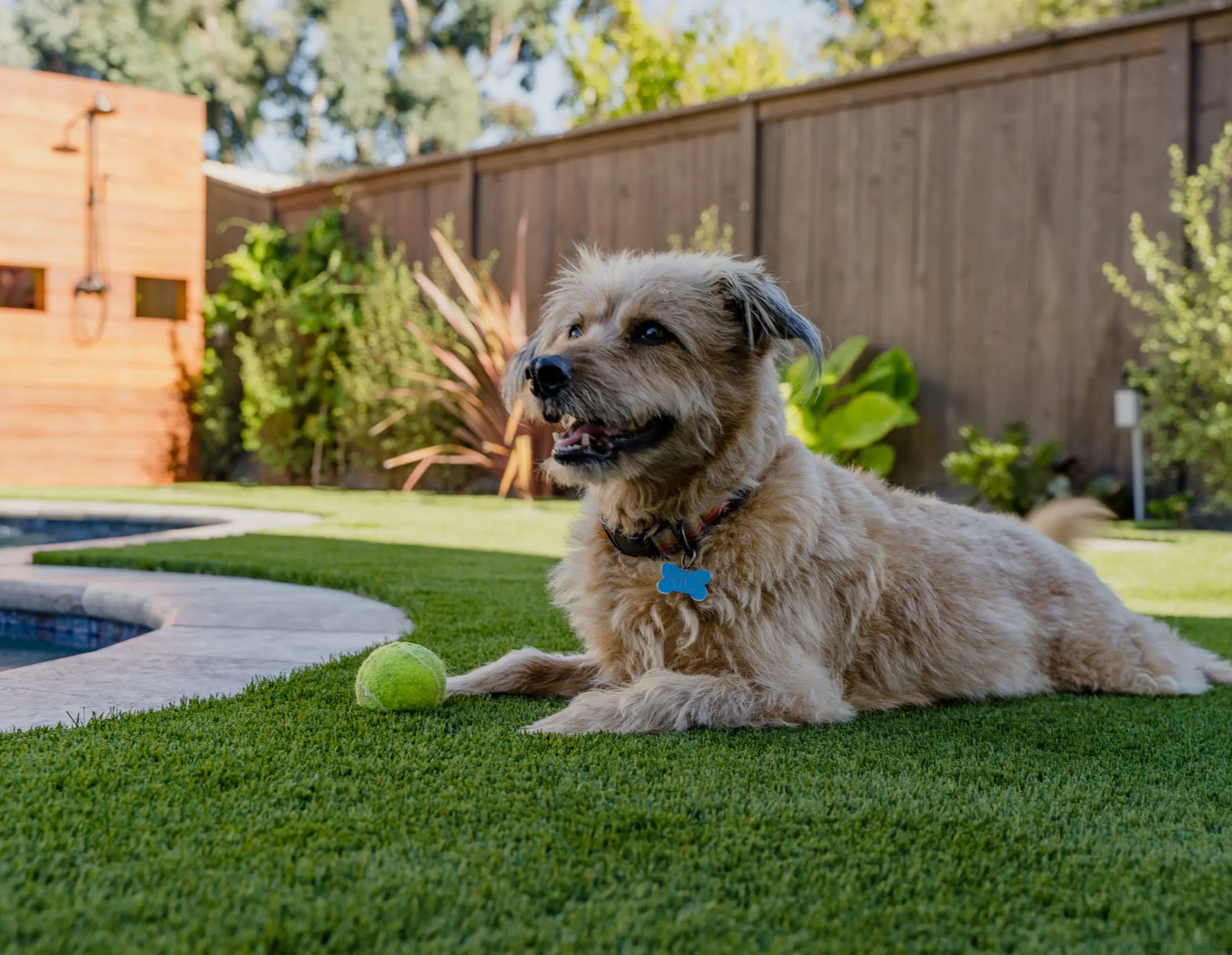 Dog artificial turf