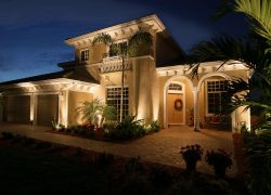 Tropical Outdoor Lights 2