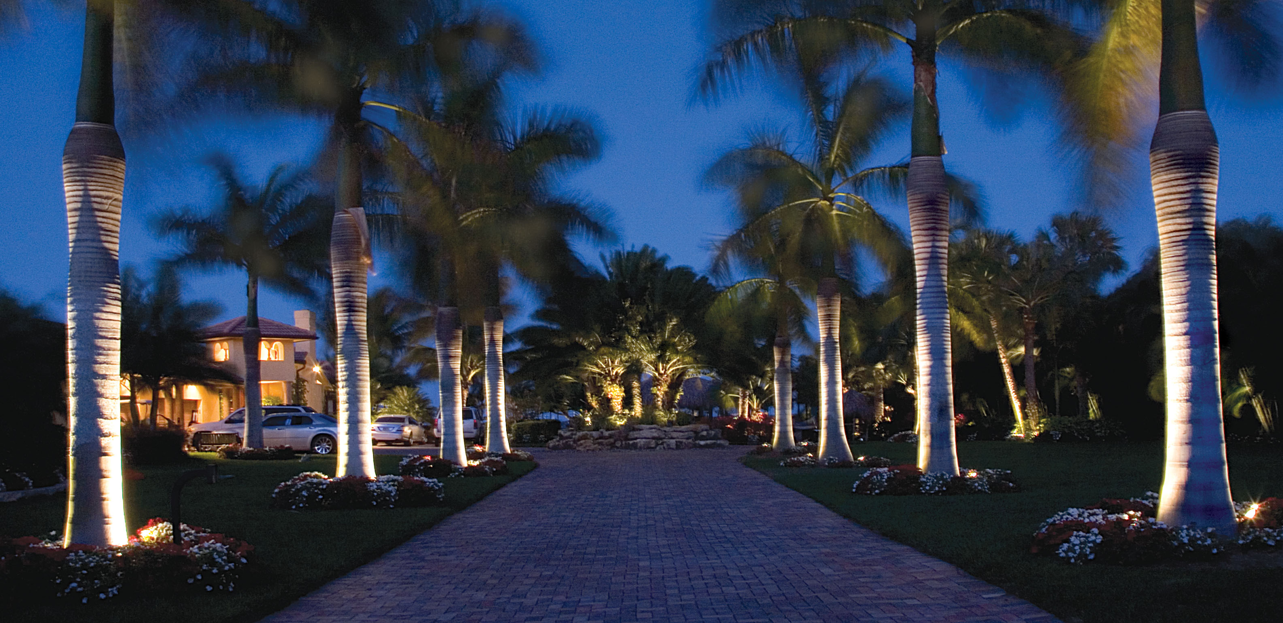 Professional Royal Palm Up-lighting in Tampa Bay