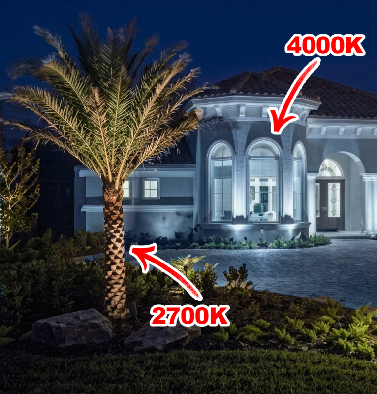 Perfect lighting tempature house plantswebp